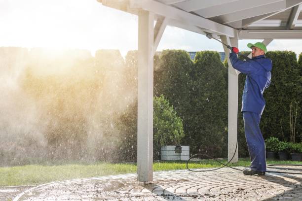Best Gutter Cleaning and Brightening in Salida, CO